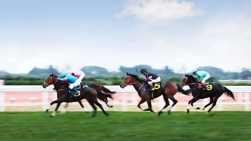 石河子最新未来发展规划,石河子明年整体规划