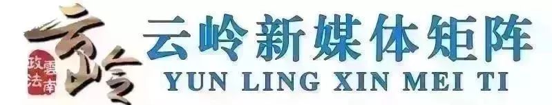 手机有什么好玩的竖屏,手机有什么好玩的可以推荐一下吗