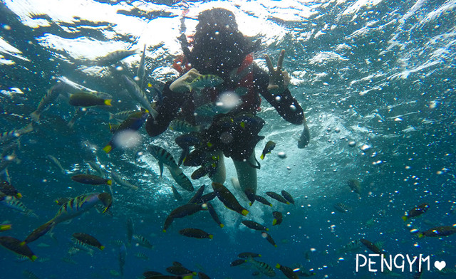 沙巴海岛游推荐,亚庇沙巴经典玩法攻略