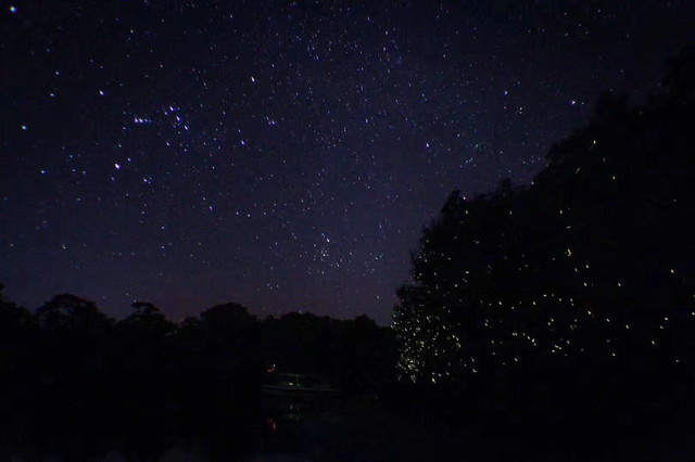 沙巴海岛游推荐,亚庇沙巴经典玩法攻略