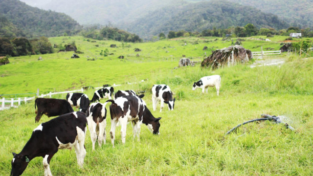 沙巴海岛游推荐,亚庇沙巴经典玩法攻略