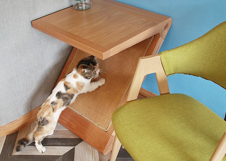 双11，我已经买了不少让人后悔的东西