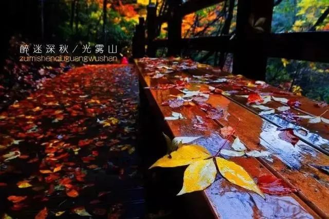 延安黄陵：醉美金秋仙遇黄陵