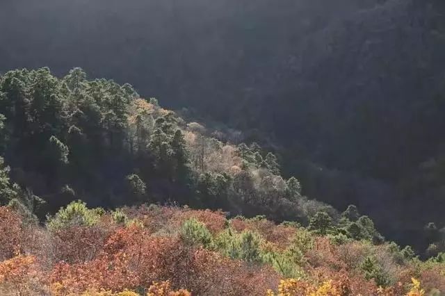 延安黄陵:醉美金秋仙遇黄陵