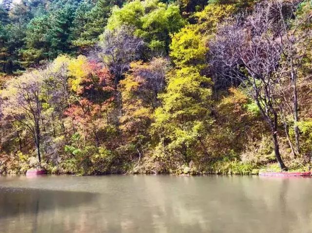 延安黄陵：醉美金秋仙遇黄陵