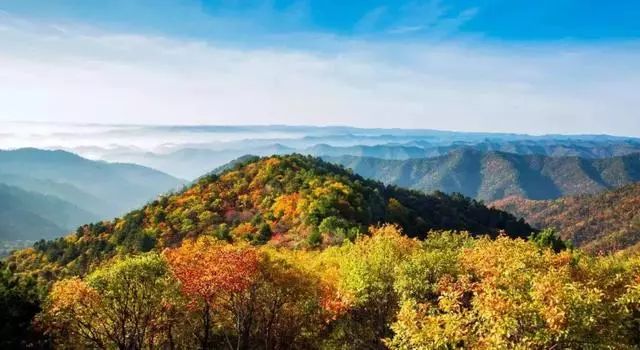 延安黄陵：醉美金秋仙遇黄陵