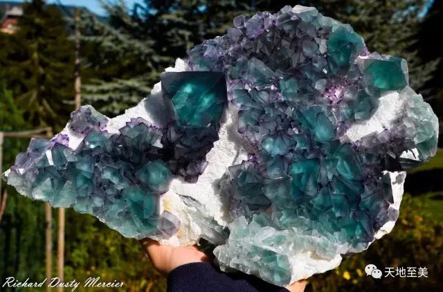 江西宁都萤石矿,江西发现最大萤石矿