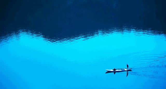 我见过最才华横溢的诗,关于才华横溢的诗句有哪些