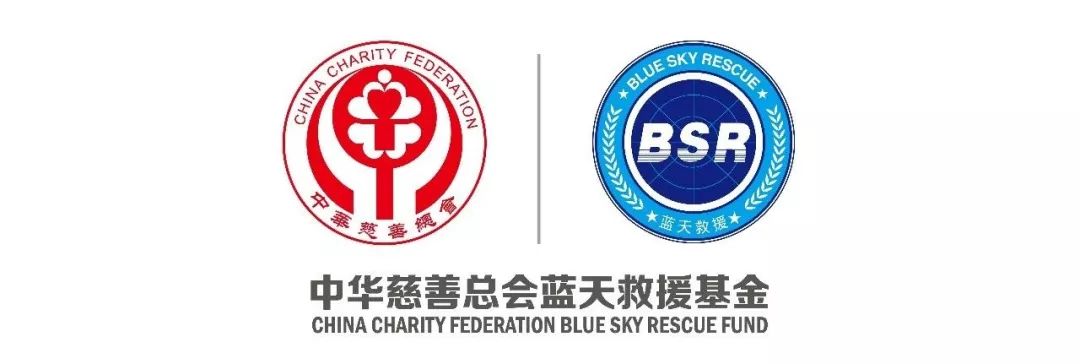 今年蓝天救援数据,蓝天救援队工作简报图