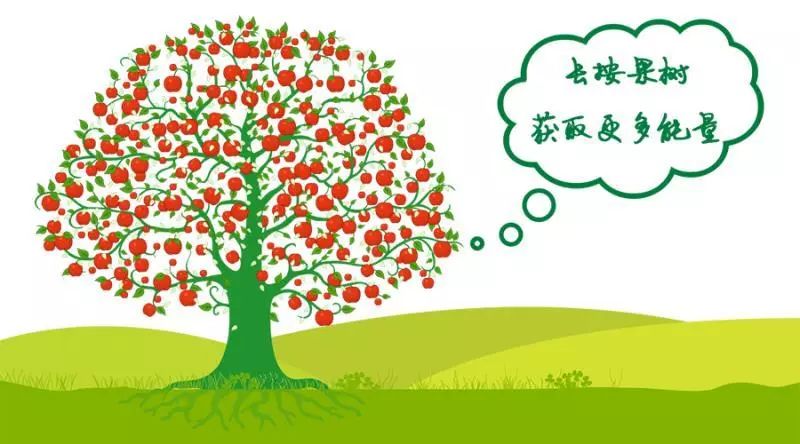 国内操作系统生态发展趋势,国内操作系统生态建设