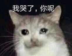 「曝光」多款网红假港药被查获,你爱买的活络油、双飞人……有可能是假的!