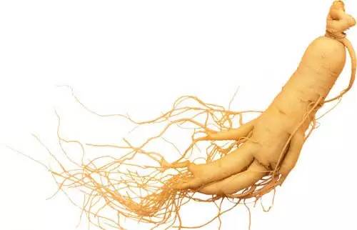 植物界中的世界之最,植物界的吉尼斯阅读题