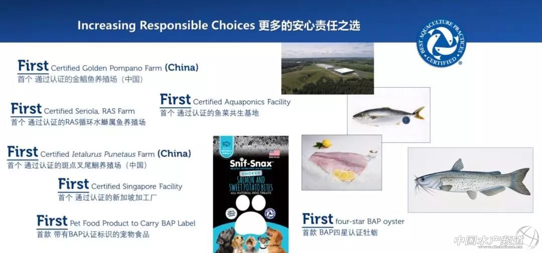 海鲜市场人山人海现直播,水产市场人山人海