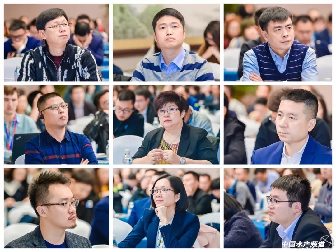 海鲜市场人山人海现直播,水产市场人山人海