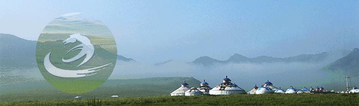 40个便民疏导点为流动摊贩安家,便民服务活动特色亮点报道