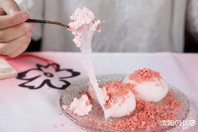 开一家火一家的抹茶店,店长竟是只兔子!今天起,招牌冰淇淋限时3折啦!