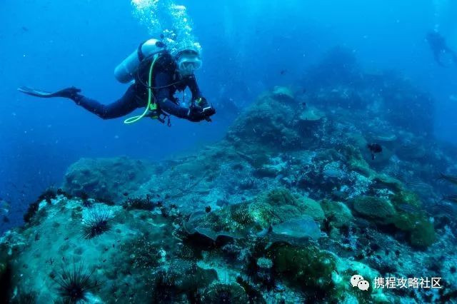 母亲节礼物送妈妈实用有意义50岁,母亲节送对象的妈妈什么礼物好