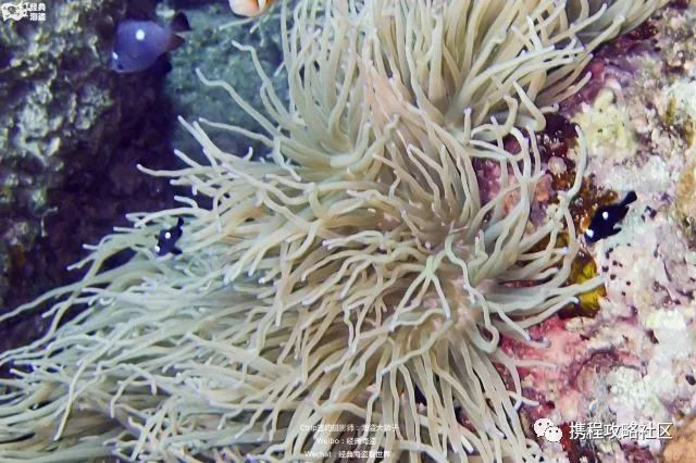 母亲节礼物送妈妈实用有意义50岁,母亲节送对象的妈妈什么礼物好