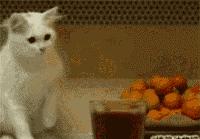 净网2019可以报警吗,公安部净网2018新闻发布会