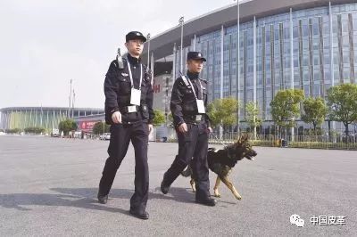 晋江鞋博会鞋革,鞋革元素