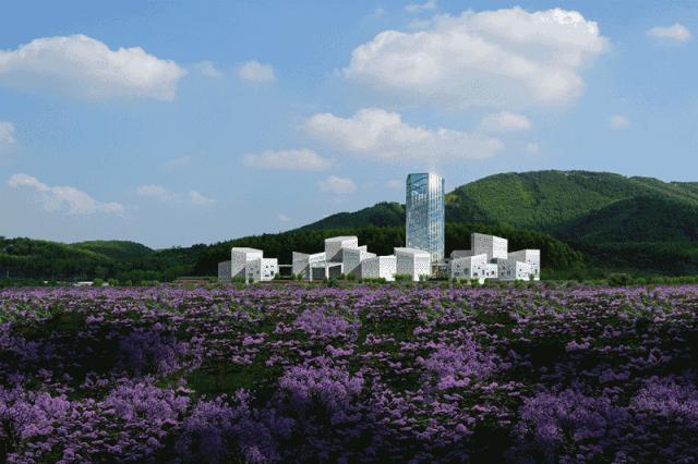 南宁哪里有摘火龙果的地方,南宁周边哪里有火龙果摘