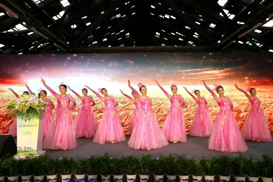 锦溪2022新闻,锦溪镇发展