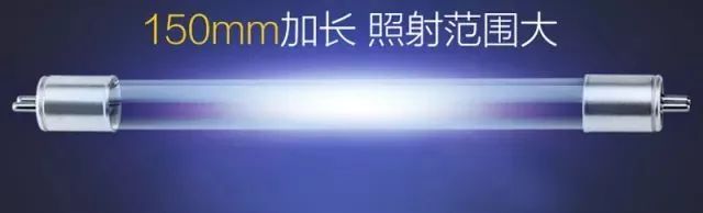 最全最有效去除家里的螨虫方法,家里螨虫怎样能彻底清除