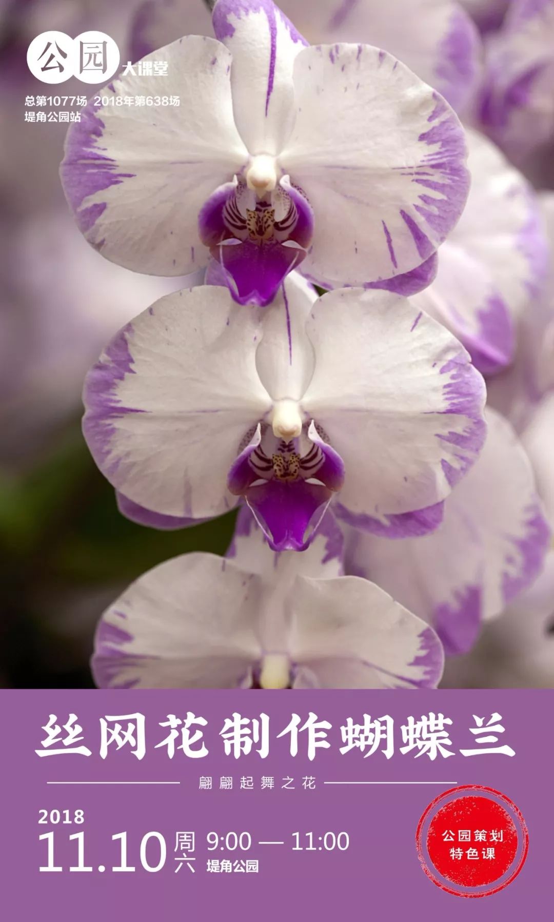 树叶拓印留住秋天,关于秋天的树叶拓印