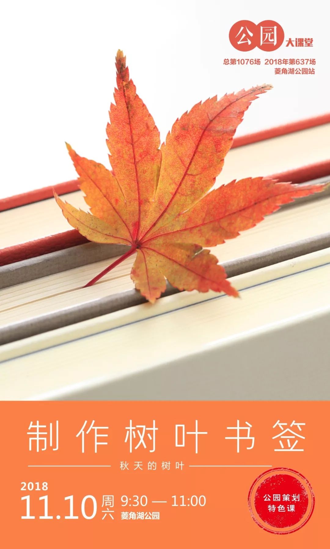 树叶拓印留住秋天,关于秋天的树叶拓印