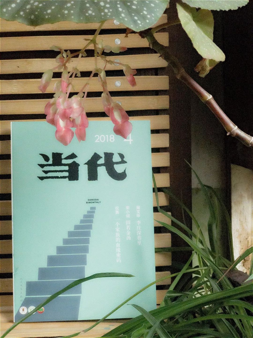 祝勇:连觉都睡不安稳,还谈啥生命质量?