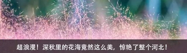 河北冬天适合旅游的古镇,冬天就来这个小众的地方暖心暖胃