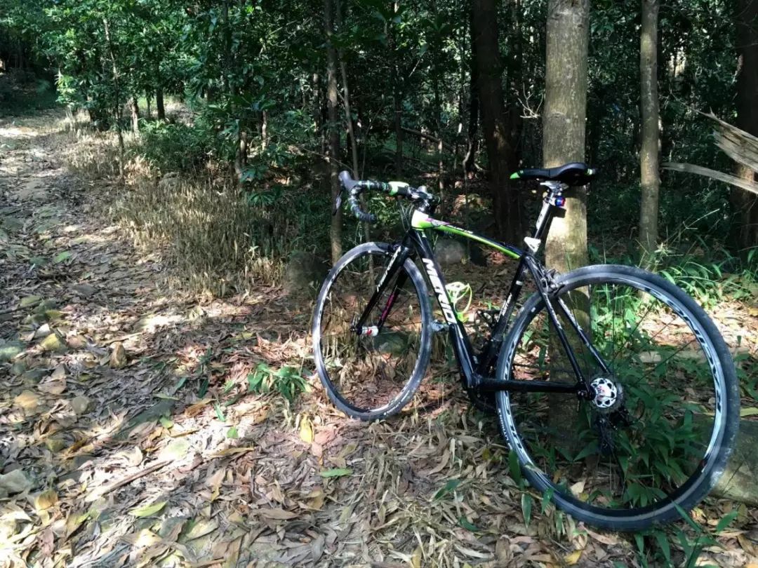 剁手清单,剁手清单极简实用派