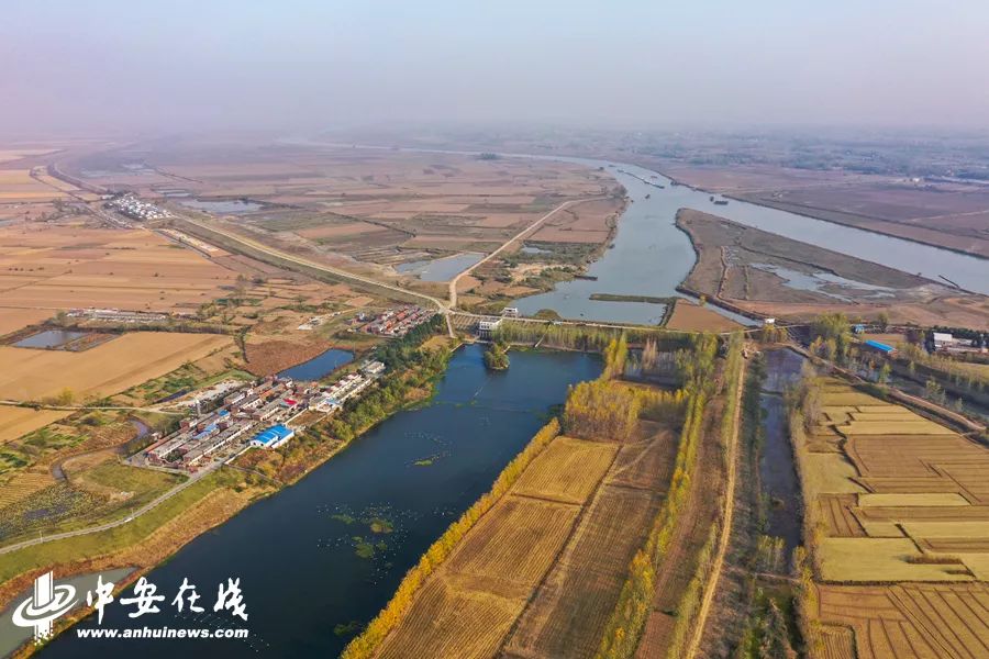 颍上庄台变身记:“穷洼地”逆袭成为“绿富美”