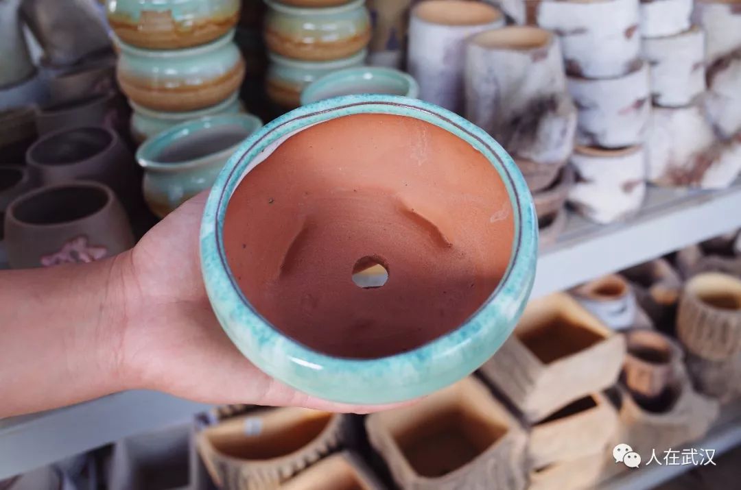 花市买10元3盆多肉,武汉多肉花卉便宜