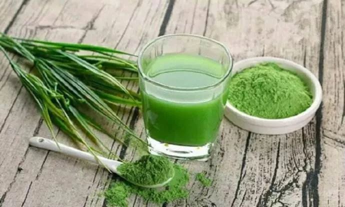 为什么青汁有减肥效果,青汁减肥能抗癌吗