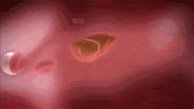 黑科技保暖美体衣,养生塑身衣黑科技