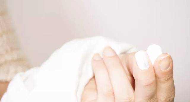 盆栽植物不生虫不烂根不黄叶,盆栽的植物永远都是黄叶长不大