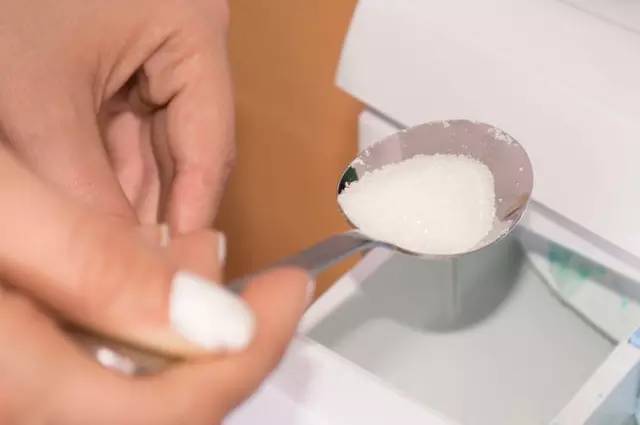 盆栽植物不生虫不烂根不黄叶,盆栽的植物永远都是黄叶长不大