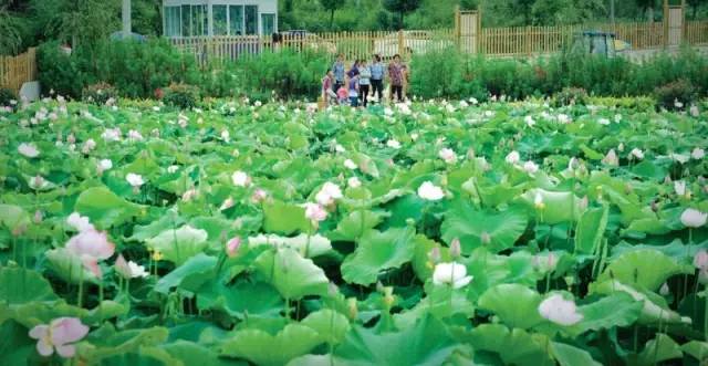 史上最强旅游攻略,最新最强攻略