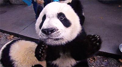 成都有一千种样子,我挑了其中的四种给你