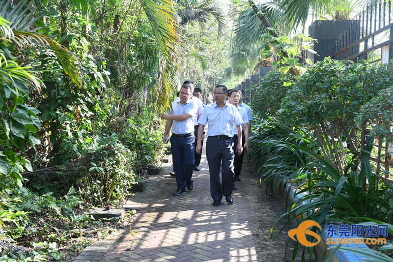 凤岗园龙山公园停车收费吗,凤岗园龙山公园