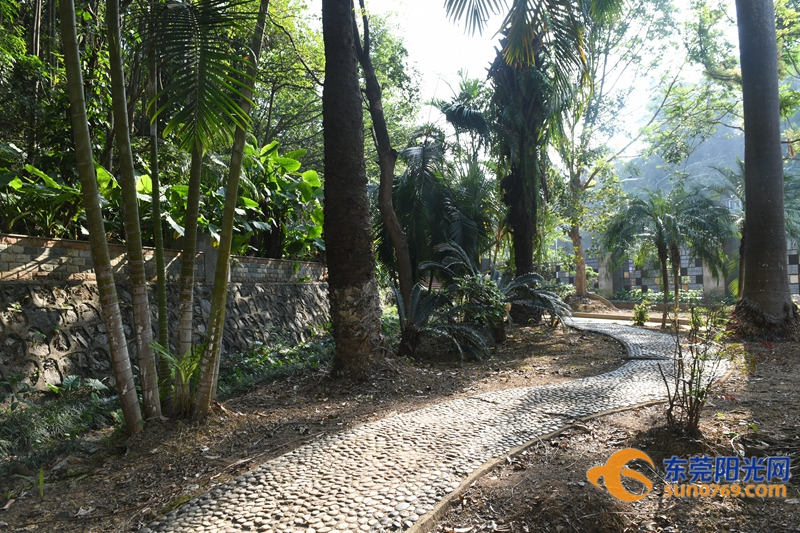 凤岗园龙山公园停车收费吗,凤岗园龙山公园