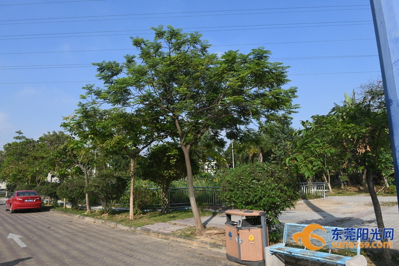 凤岗园龙山公园停车收费吗,凤岗园龙山公园