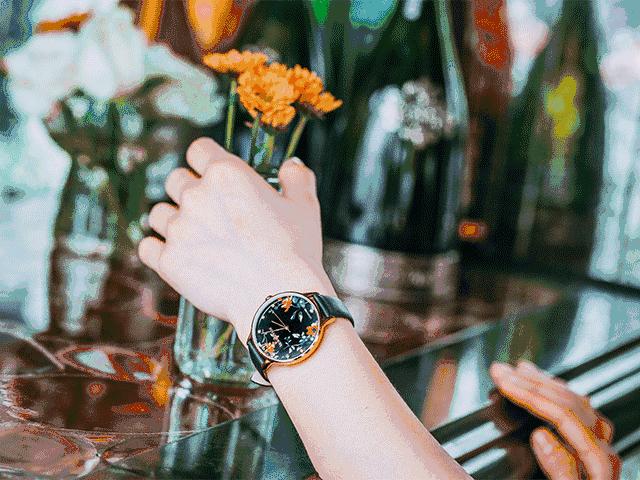 dw烂大街了吗,dw烂大街吗