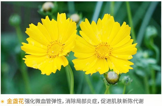 肩颈病用什么贴膏效果好,肩颈疼痛用日本什么膏药好