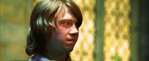 冬天减肥伤元气吗,在冬天减肥