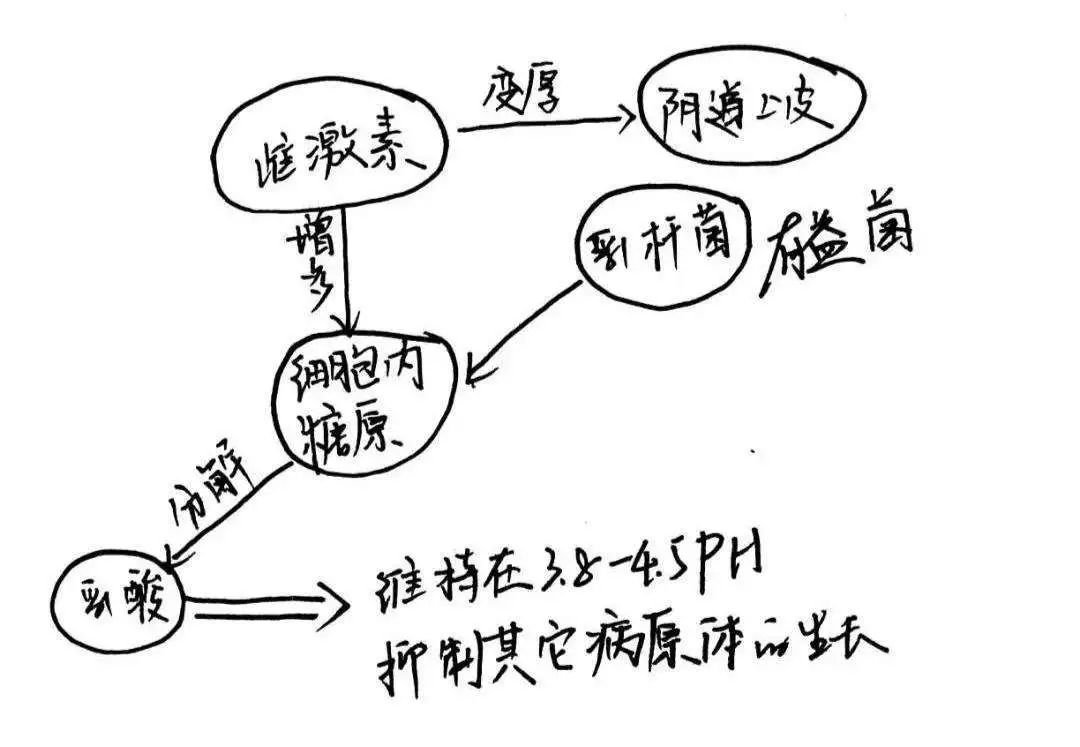 女性难言之隐的病,40岁女性的难言之隐