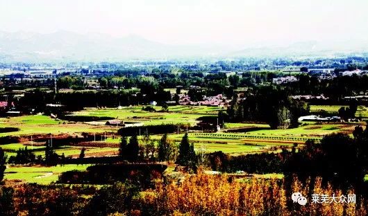 “三块地”就让这个村一夜暴富?