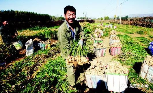 “三块地”就让这个村一夜暴富?