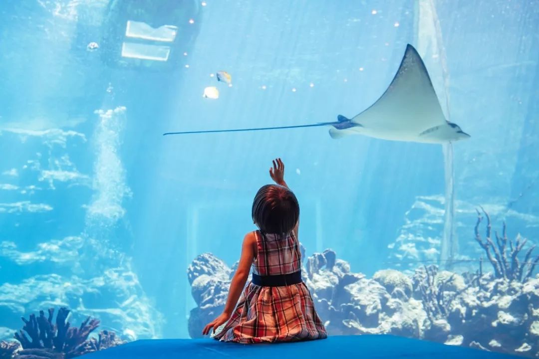 双11种草清单大全,双11种草好物